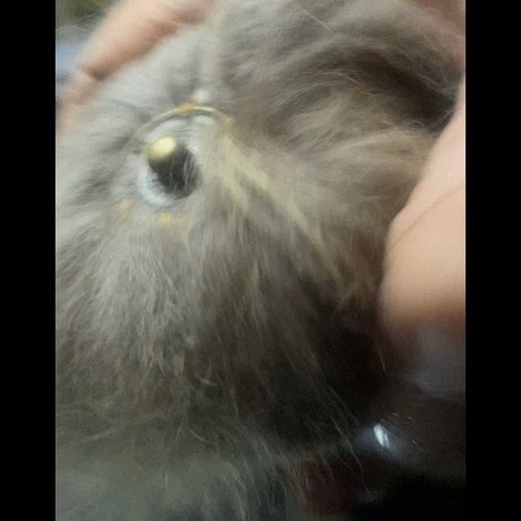 How knitted hat is detached - Picture 2 of 7